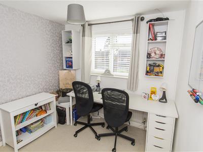 Picture 20